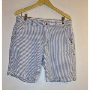 ALAN FLUSSER Seersucker Striped Shorts Men's Sz 36W Coastal Resort Beachy Summer